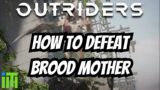 How to Defeat Brood Mother | Outriders | TrevisTips