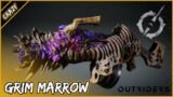 Grim Marrow Legendary Review (Good And Bad) | Outriders Demo