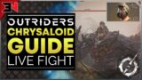 Outriders Boss Guide: How To Defeat The Chrysaloid – OUTRIDERS CHRYSALOID GUIDE & TIPS LIVE