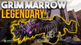 500K SINGULARITY! Outriders Legendary Grim Marrow LMG! DPS Build Weapon