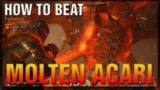 OUTRIDERS SPIDER BOSS MOLTEN ACARI – How To Beat MOLTEN ACARI BOSS FIGHT EASY!