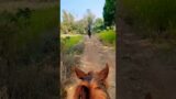#horselover #youtubeshorts #trending #outriders #new #viral
