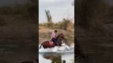 Rider Khalid Shb #explore #horse #horseriding #water #watercolor #equestrian #outriders #virelreels